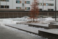 /album/nordpolenila/img-0399-jpg/