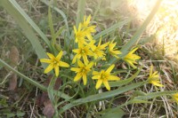 /album/nordpolenila/img-0250-jpg/
